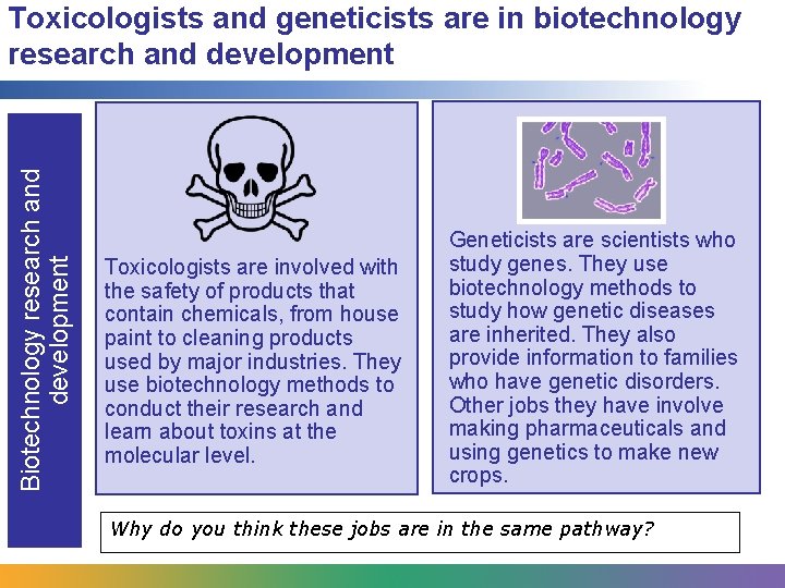 Biotechnology research and development Toxicologists and geneticists are in biotechnology research and development Toxicologists Biotechnology research and development Toxicologists and geneticists are in biotechnology research and development Toxicologists