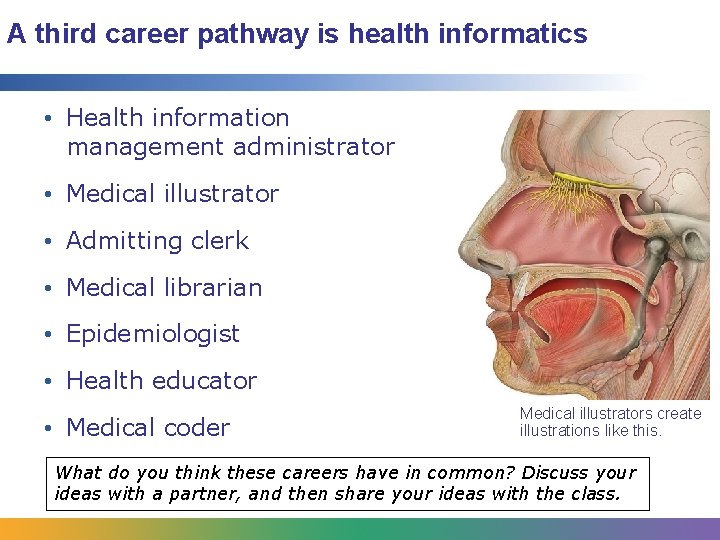 A third career pathway is health informatics • Health information management administrator • Medical