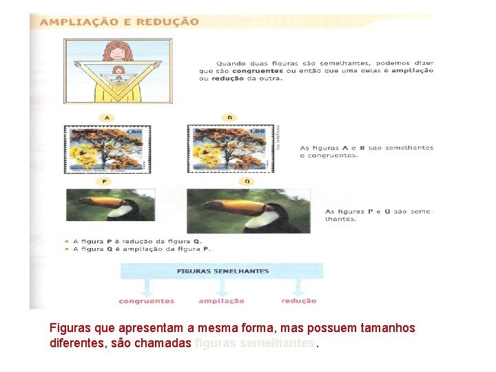  Figuras que apresentam a mesma forma, mas possuem tamanhos diferentes, são chamadas figuras