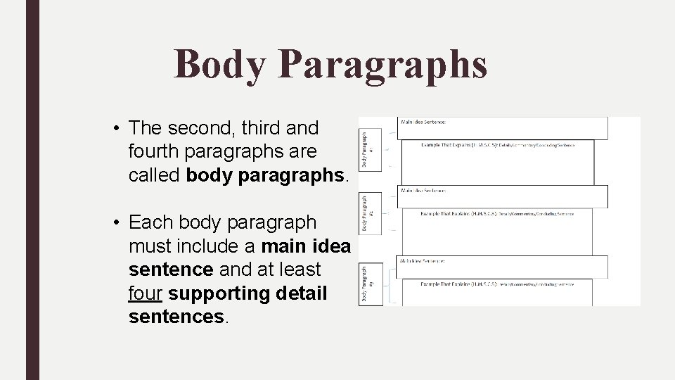 Body Paragraphs • The second, third and fourth paragraphs are called body paragraphs. •