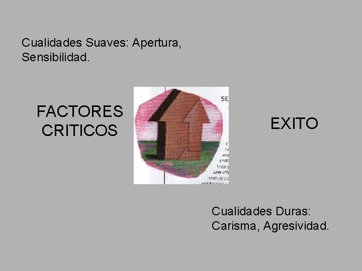 Cualidades Suaves: Apertura, Sensibilidad. FACTORES CRITICOS EXITO Cualidades Duras: Carisma, Agresividad. Cualidades Suaves: Apertura, Sensibilidad. FACTORES CRITICOS EXITO Cualidades Duras: Carisma, Agresividad.