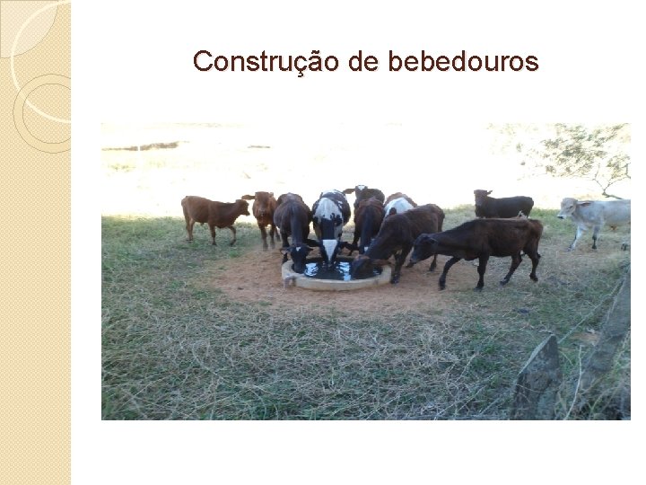 Construção de bebedouros 