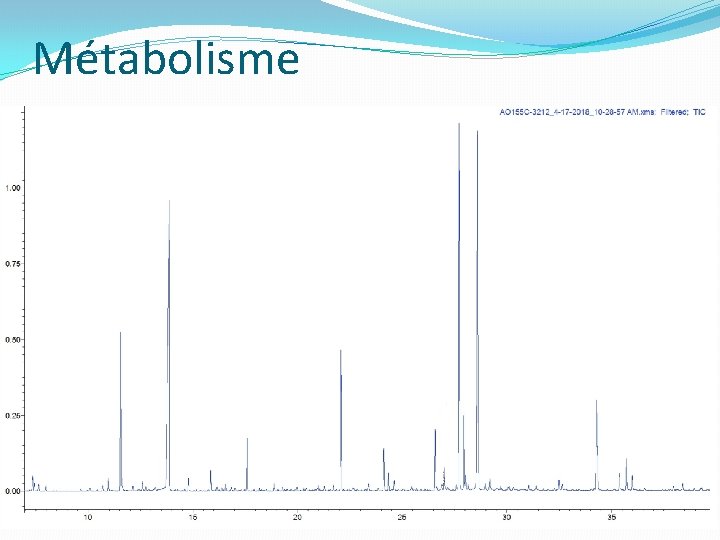 Métabolisme Métabolisme