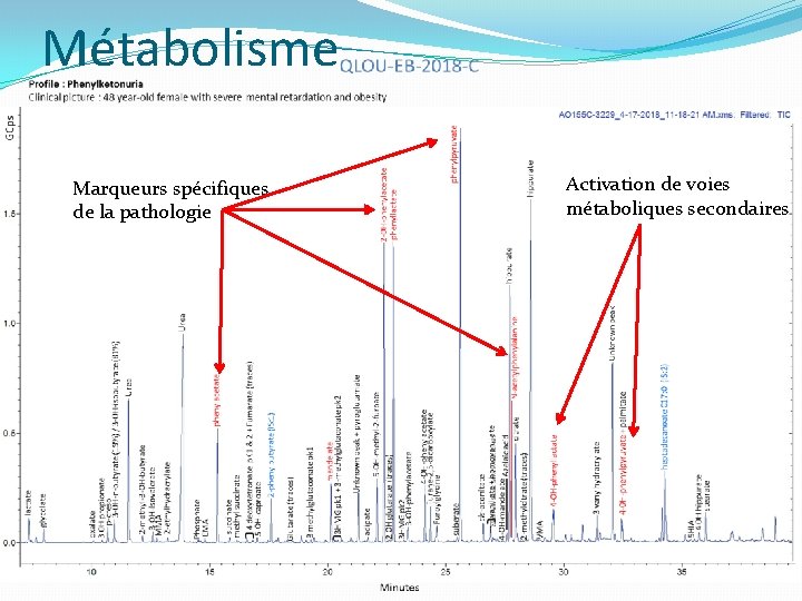 Métabolisme Marqueurs spécifiques de la pathologie Activation de voies métaboliques secondaires Métabolisme Marqueurs spécifiques de la pathologie Activation de voies métaboliques secondaires