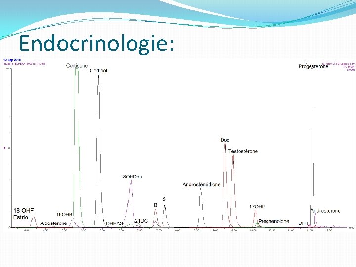 Endocrinologie: Endocrinologie: