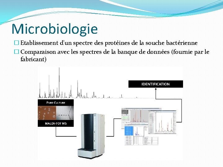 Microbiologie � Etablissement d’un spectre des protéines de la souche bactérienne � Comparaison avec Microbiologie � Etablissement d’un spectre des protéines de la souche bactérienne � Comparaison avec