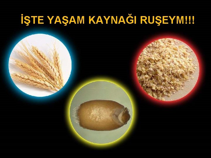 İŞTE YAŞAM KAYNAĞI RUŞEYM!!! 