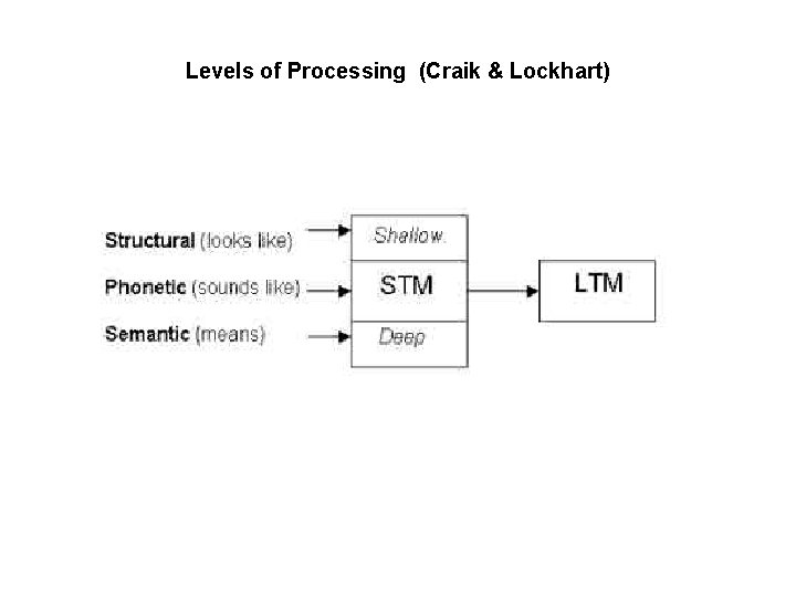 Levels of Processing (Craik & Lockhart) 