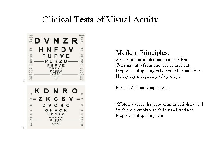 Clinical Tests of Visual Acuity Modern Principles: Same number of elements on each line