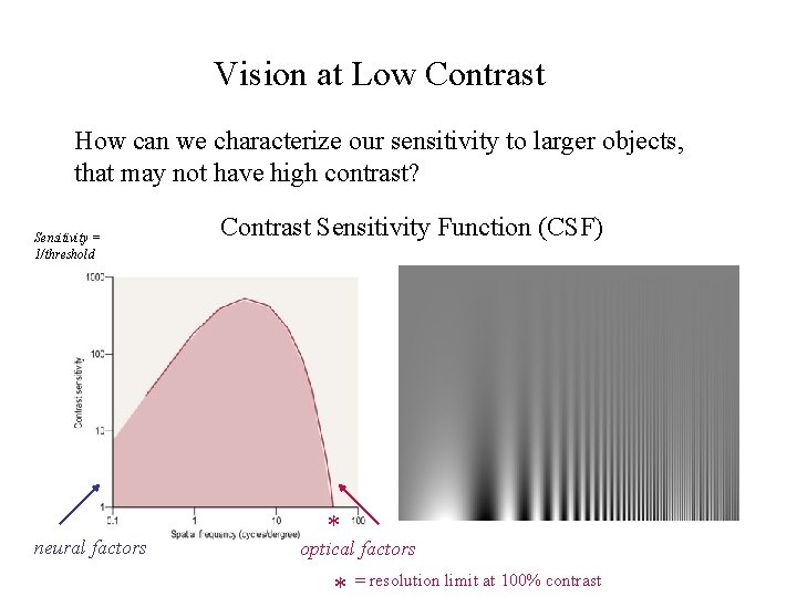 Vision at Low Contrast How can we characterize our sensitivity to larger objects, that