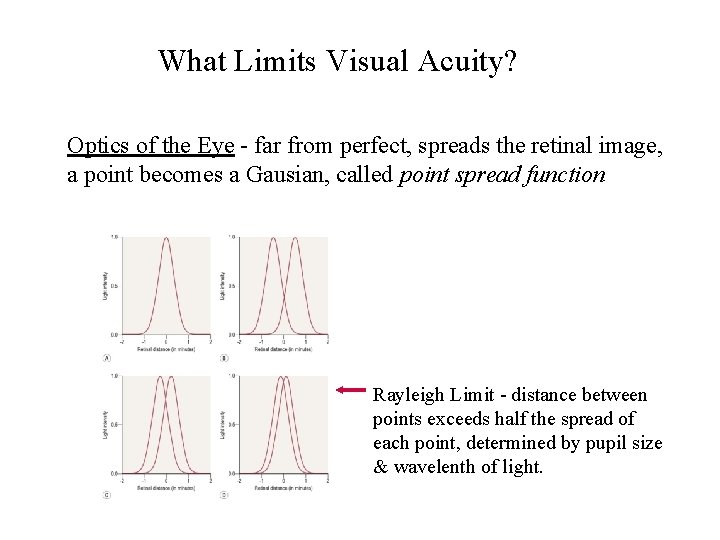 What Limits Visual Acuity? Optics of the Eye - far from perfect, spreads the