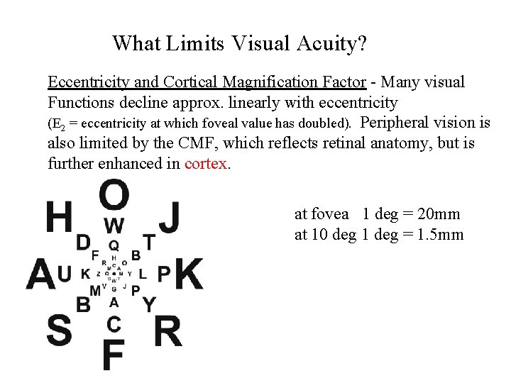 What Limits Visual Acuity? Eccentricity and Cortical Magnification Factor - Many visual Functions decline