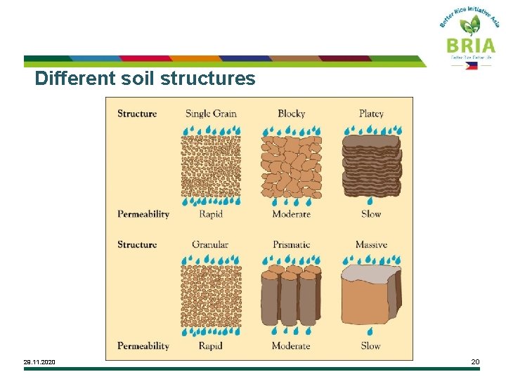Different soil structures 29. 11. 2020 20 