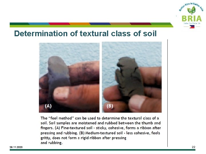 Determination of textural class of soil 29. 11. 2020 22 