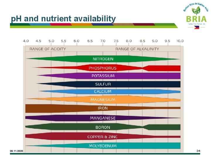 p. H and nutrient availability 29. 11. 2020 34 