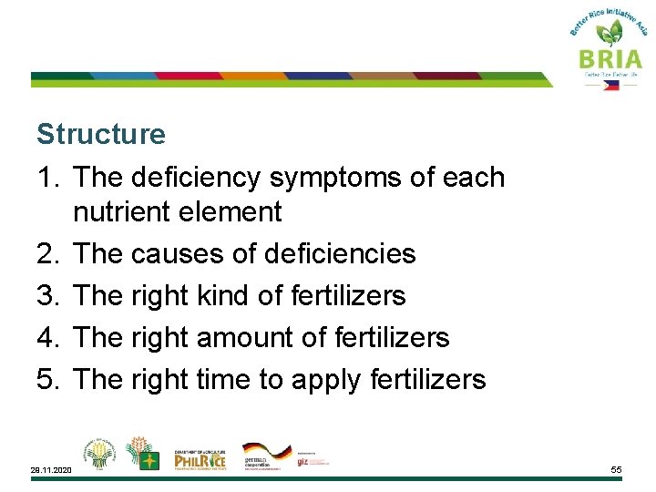 Structure 1. The deficiency symptoms of each nutrient element 2. The causes of deficiencies