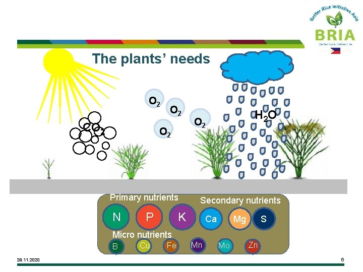 The plants’ needs O 2 CO 2 O 2 Primary nutrients N P H