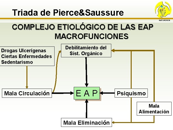  Triada de Pierce&Saussure COMPLEJO ETIOLÓGICO DE LAS EAP MACROFUNCIONES Drogas Ulcerígenas Ciertas Enfermedades
