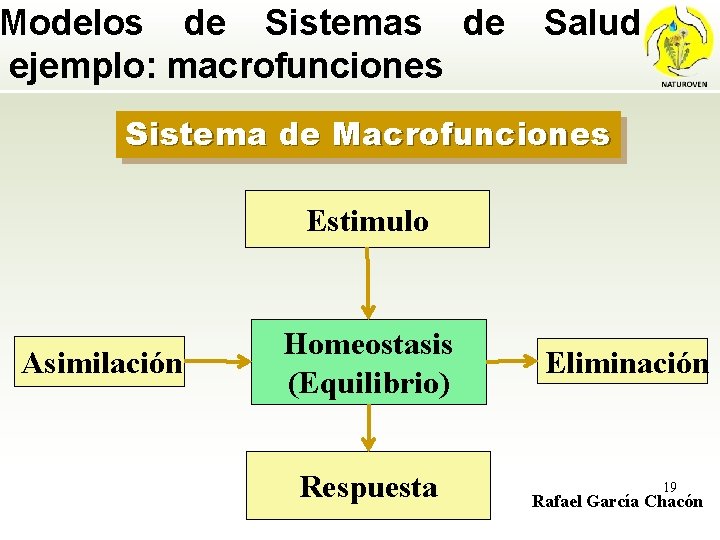 Modelos de Sistemas de ejemplo: macrofunciones Salud Sistema de Macrofunciones Estimulo Asimilación Homeostasis (Equilibrio)