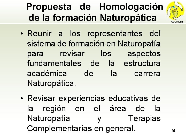 Propuesta de Homologación de la formación Naturopática • Reunir a los representantes del sistema