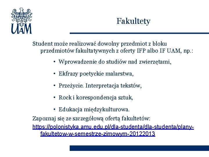 Fakultety Student może realizować dowolny przedmiot z bloku przedmiotów fakultatywnych z oferty IFP albo