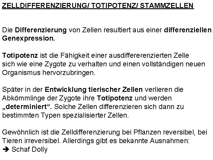 ZELLDIFFERENZIERUNG/ TOTIPOTENZ/ STAMMZELLEN Die Differenzierung von Zellen resultiert aus einer differenziellen Genexpression. Totipotenz ist