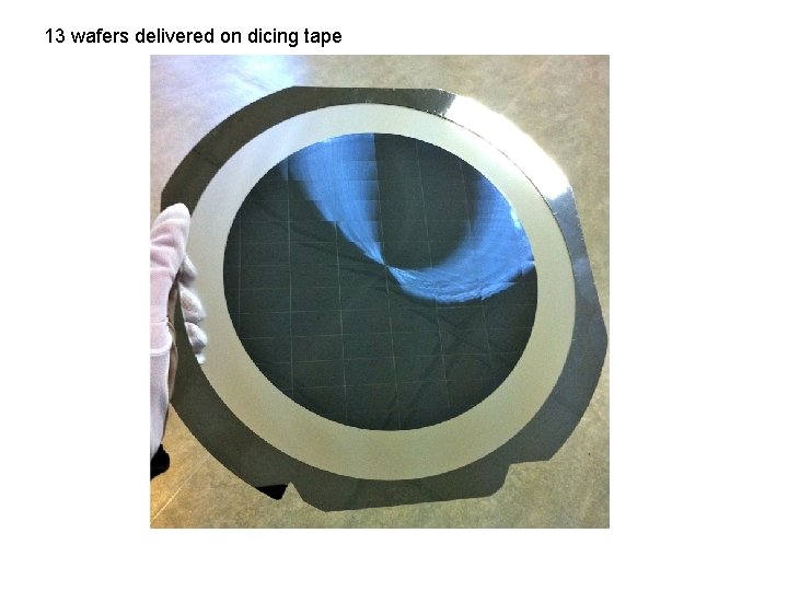 13 wafers delivered on dicing tape 
