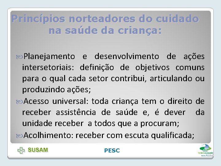 Princípios norteadores do cuidado na saúde da criança: Planejamento e desenvolvimento de ações intersetoriais: