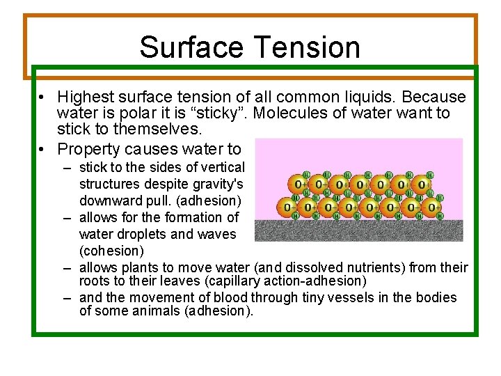 Surface Tension • Highest surface tension of all common liquids. Because water is polar