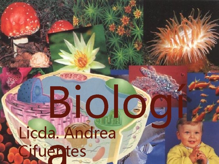 Biologí Licda. Andrea Cifuentes 