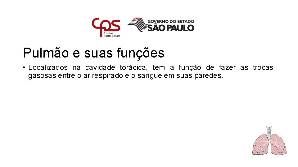 Pulmão e suas funções • Localizados na cavidade torácica, tem a função de fazer