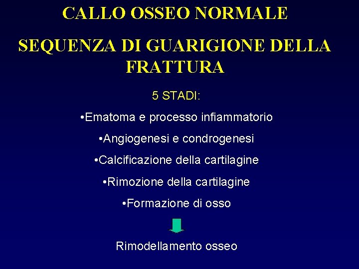 CALLO OSSEO NORMALE SEQUENZA DI GUARIGIONE DELLA FRATTURA 5 STADI: • Ematoma e processo