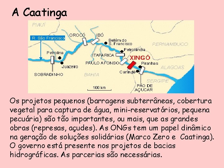 A Caatinga Os projetos pequenos (barragens subterrâneas, cobertura vegetal para captura de água, mini-reservatórios, A Caatinga Os projetos pequenos (barragens subterrâneas, cobertura vegetal para captura de água, mini-reservatórios,
