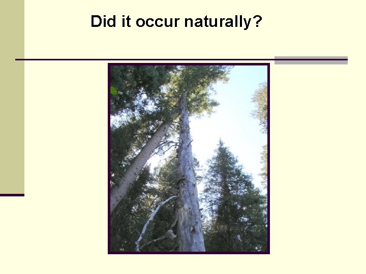 Did it occur naturally? Did it occur naturally?