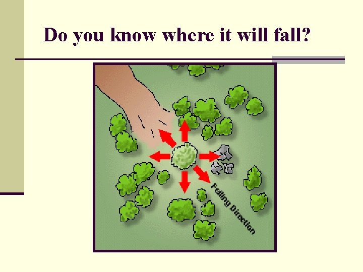 Do you know where it will fall? Do you know where it will fall?