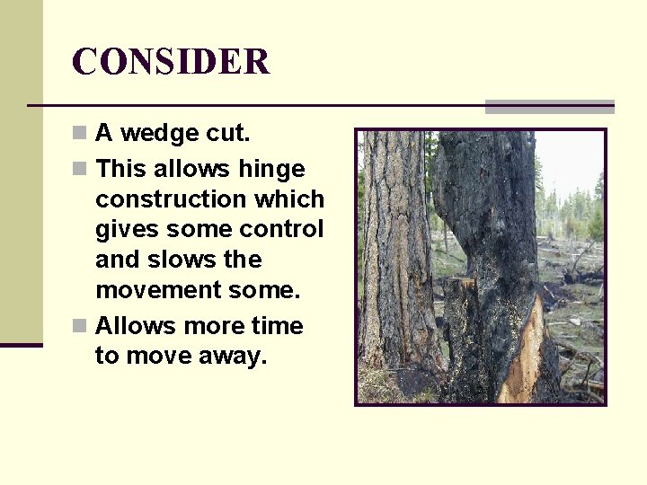 CONSIDER n A wedge cut. n This allows hinge construction which gives some control CONSIDER n A wedge cut. n This allows hinge construction which gives some control