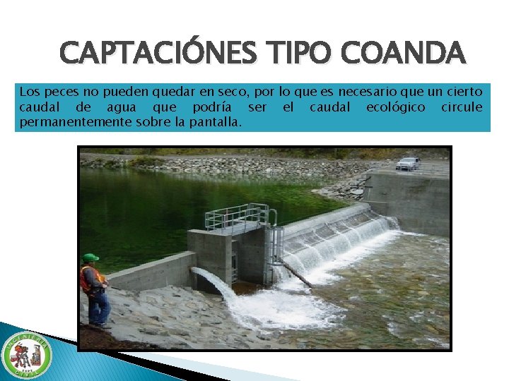 CAPTACIÓNES TIPO COANDA Los peces no pueden quedar en seco, por lo que es CAPTACIÓNES TIPO COANDA Los peces no pueden quedar en seco, por lo que es