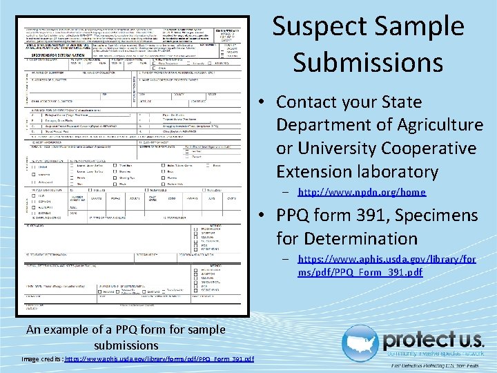 Suspect Sample Submissions • Contact your State Department of Agriculture or University Cooperative Extension Suspect Sample Submissions • Contact your State Department of Agriculture or University Cooperative Extension