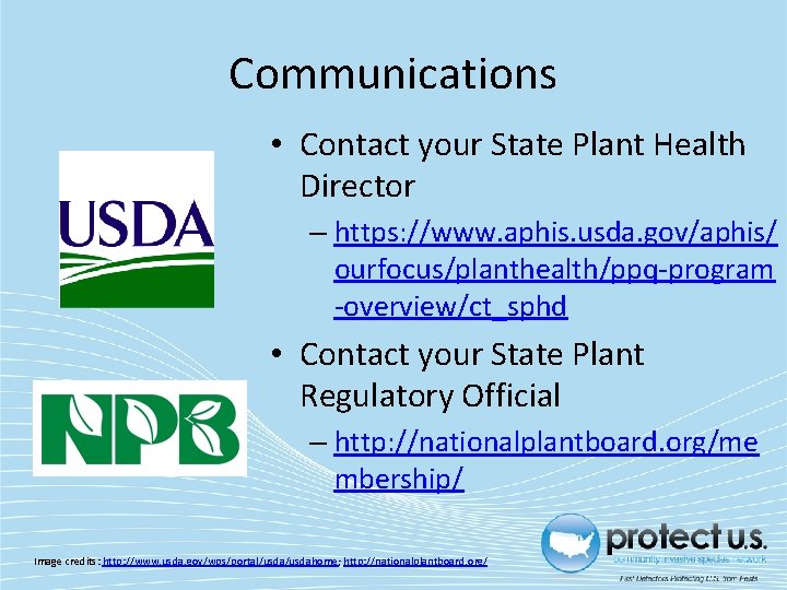 Communications • Contact your State Plant Health Director – https: //www. aphis. usda. gov/aphis/ Communications • Contact your State Plant Health Director – https: //www. aphis. usda. gov/aphis/