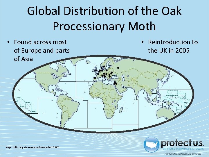Global Distribution of the Oak Processionary Moth • Found across most of Europe and Global Distribution of the Oak Processionary Moth • Found across most of Europe and