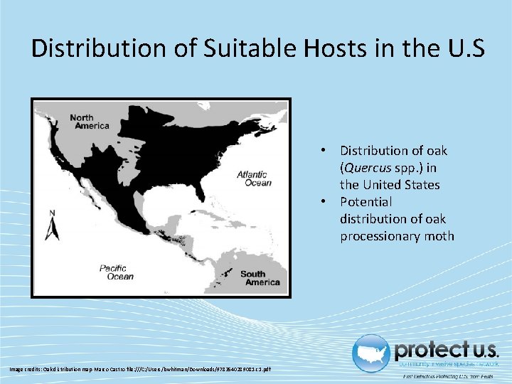 Distribution of Suitable Hosts in the U. S • Distribution of oak (Quercus spp. Distribution of Suitable Hosts in the U. S • Distribution of oak (Quercus spp.
