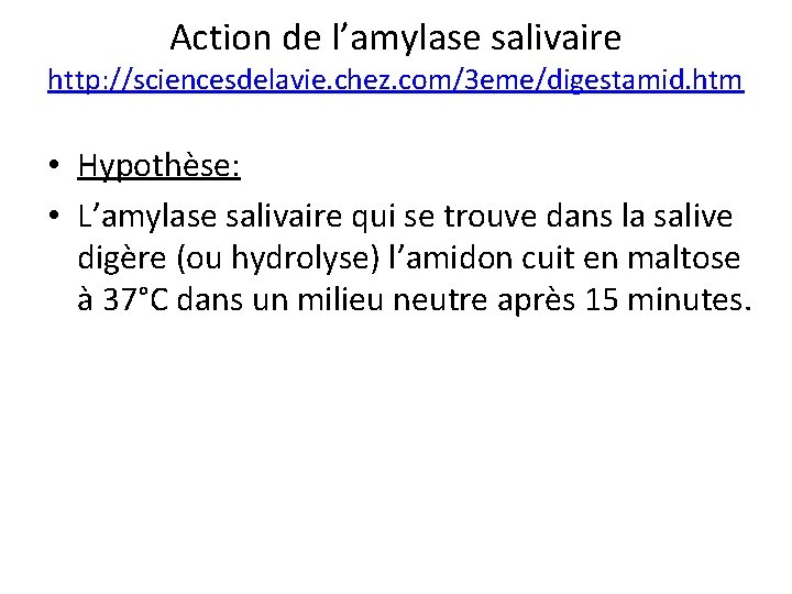 Action de l’amylase salivaire http: //sciencesdelavie. chez. com/3 eme/digestamid. htm • Hypothèse: • L’amylase