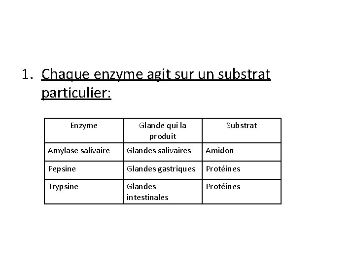 1. Chaque enzyme agit sur un substrat particulier: Enzyme Glande qui la produit Substrat