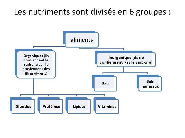 Les nutriments sont divisés en 6 groupes : aliments Organiques (ils contiennent le carbone