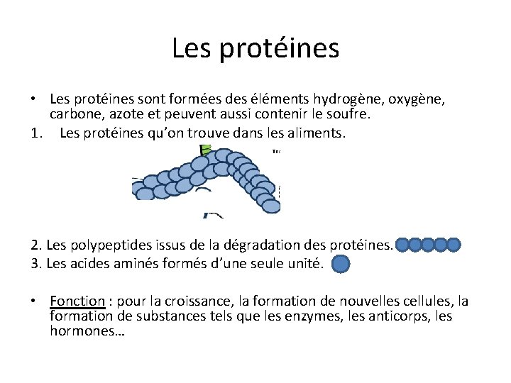 Les protéines • Les protéines sont formées des éléments hydrogène, oxygène, carbone, azote et