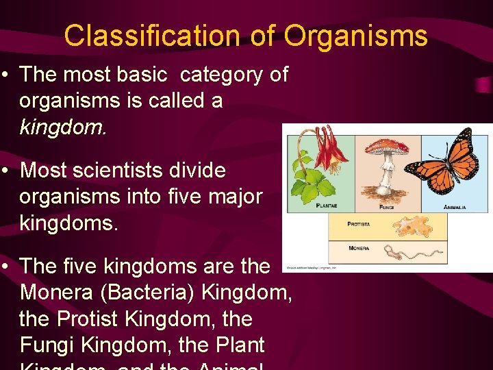 Classification of Organisms • The most basic category of organisms is called a kingdom.