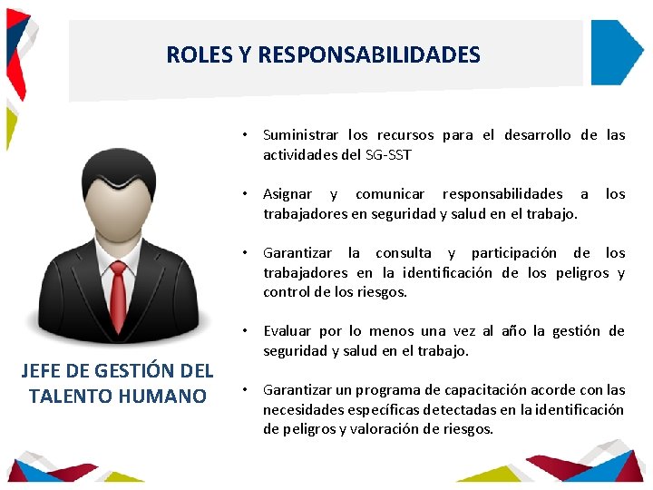 ROLES Y RESPONSABILIDADES • Suministrar los recursos para el desarrollo de las actividades del