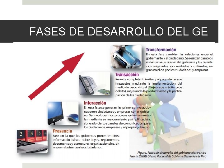 FASES DE DESARROLLO DEL GE 