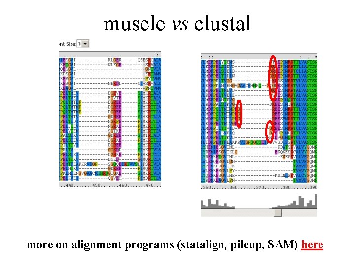 mcb 371372 sequence alignment 33005