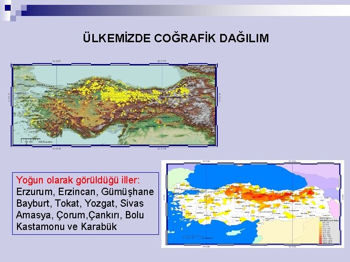 ÜLKEMİZDE COĞRAFİK DAĞILIM Yoğun olarak görüldüğü iller: Erzurum, Erzincan, Gümüşhane Bayburt, Tokat, Yozgat, Sivas